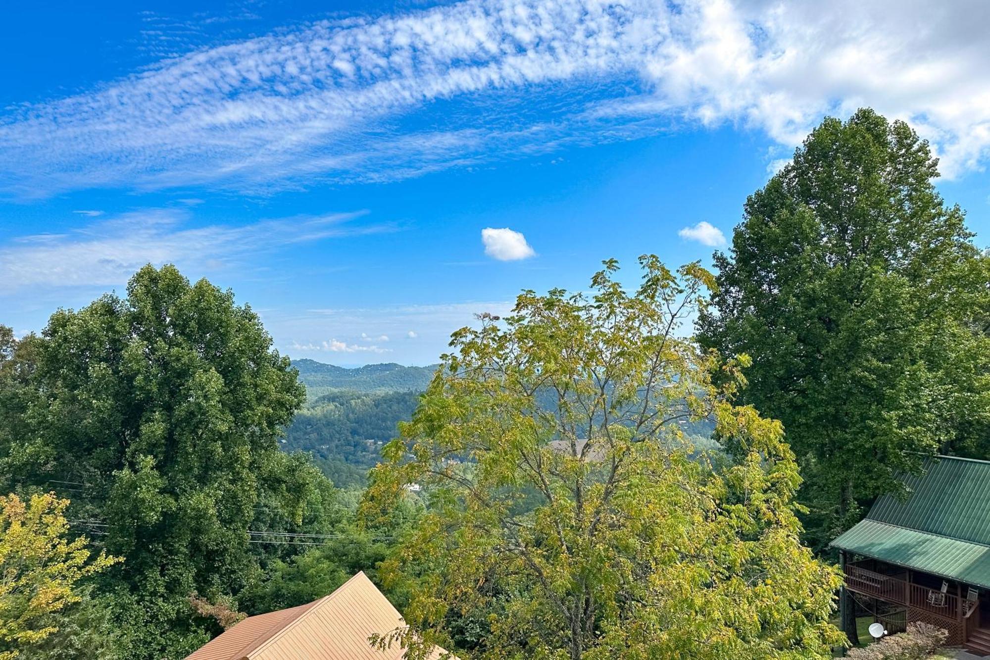 Little Black Bear Retreat Pigeon Forge Bagian luar foto